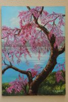 Pittura